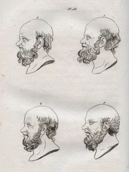 Fisiognomica - Fisiognomonia - Diverse teste del filosofo greco Socrate (ca. 469 a.C.-399 a.C.) - incisione del 1808 in 