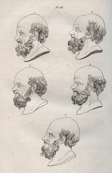 Fisiognomia - Fisiognomonia - Diverse teste del filosofo greco Socrate (ca. 469 a.C.-399 a.C.) (Busto di Socrate (ca 469 a.C.-399 a.C.), filosofo ateniese) incisione del 1808 in "L
