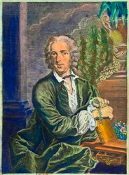 Ritratto di Carl Von Linne (1707-1778) Naturalista svedese