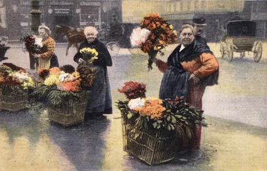 La festa del crisantemo: mercante di crisantemi per strada. Incisione. Uno dei giornali "Le petit parisien" del 20/11/1910. Collezione privata