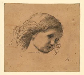 Testa di bambino dai capelli ricci