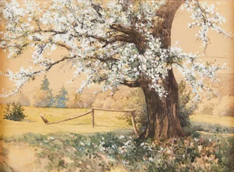 Antal Neogrády Albero fiorito