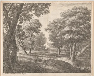 Un sentiero nel bosco