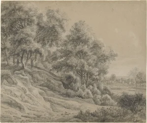 Alberi in un paesaggio collinare