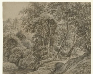 Veduta del bosco fuori Nijmegen