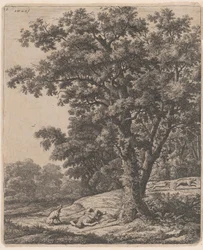 La morte di Adone, XVII secolo