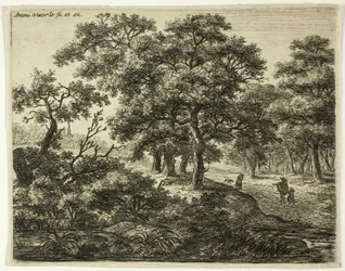 Il gruppo dei quattro alberi