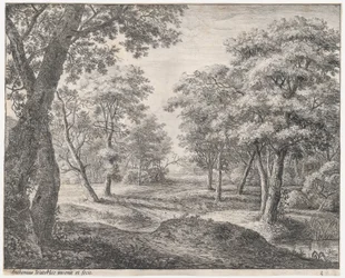La strada attraverso il bosco