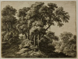 Il sentiero boscoso