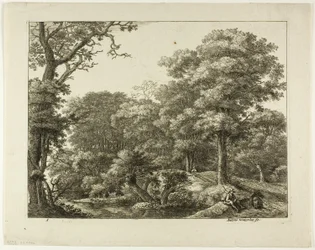 Il viandante che riposa nella foresta