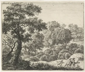 Due cavalieri su un sentiero boscoso