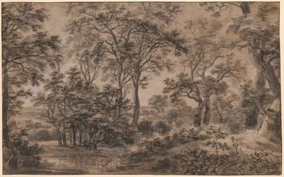 Paesaggio boscoso