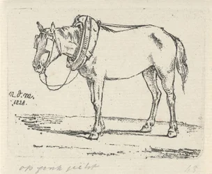 Cavallo bardato