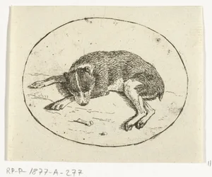 Cane sdraiato