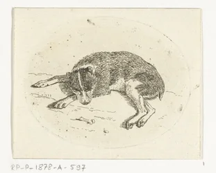 Cane sdraiato