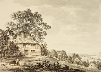 Scena di campagna