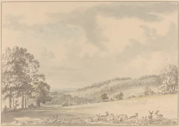 Cervi che Riposano nel Parco di Albury