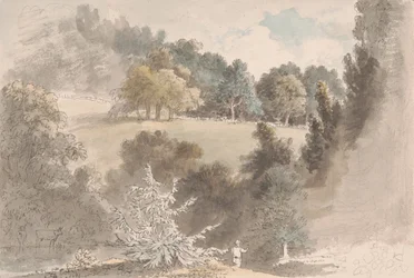 Paesaggio con alberi