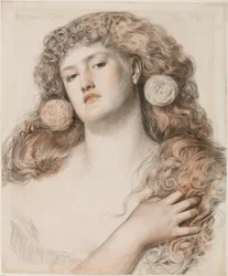 Rosa rossa e bianca, 1867