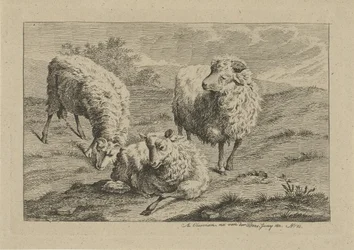 Tre pecore