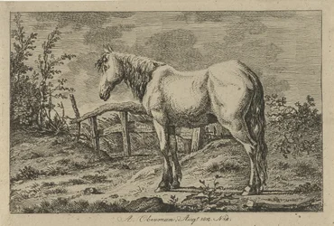 Cavallo in piedi