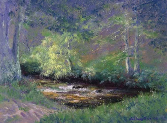 Ruscello nella foresta
