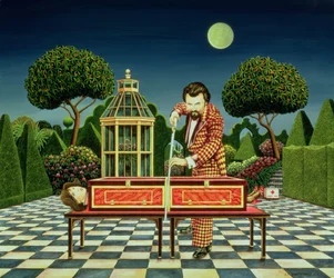 Mago al chiaro di luna