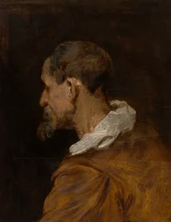 Studio di testa