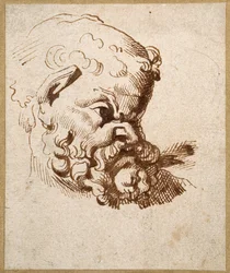 Studio di una testa antica di Sileno