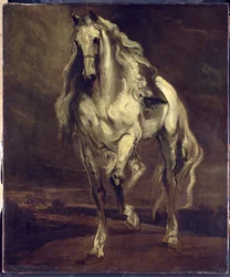 Immagine sconosciuta