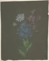 Design floreale