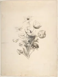 Design floreale