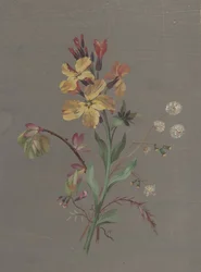 Disegno floreale