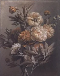 Peonie