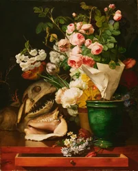 Natura morta con fiori, conchiglie, testa di squalo e pietrificazioni