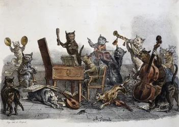 Un concerto amatoriale, caricatura di gatti che suonano strumenti musicali, incisione di Carle Vernet (1758-1836), Francia