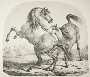 Cavalli selvaggi che combattono, c.1820