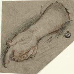 Dorso della mano e avambraccio