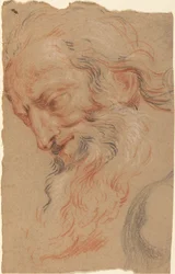 Testa di un vecchio