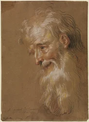 Testa di vecchio barbuto