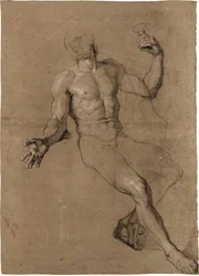Studio di un nudo maschile seduto, per Bacco