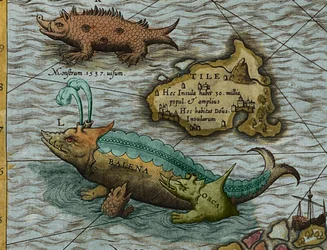 Dettaglio di Una Mappa del Mare (Carta marina) di Olaus Magnus (1490-1557)