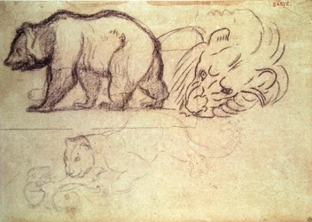 Un orso che cammina, la testa di un leone e un leopardo che attacca un animale