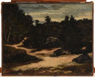 Francese: Chemin sableux en forêt de Fontainebleau