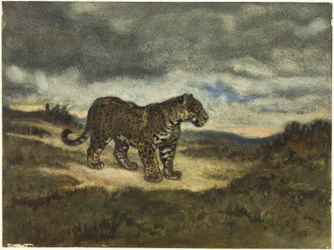 Giaguaro in piedi