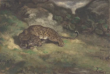 Leopardo e serpente