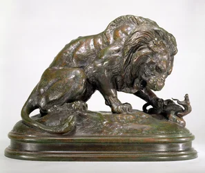 Leone e serpente
