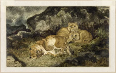 Leonessa e cuccioli, 1832 circa (acquerello e grafite, su carta avorio)