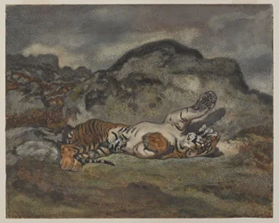 Tigre rotolante, c.1840