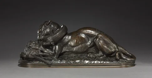 Tigre che divora un gaviale, 1831
